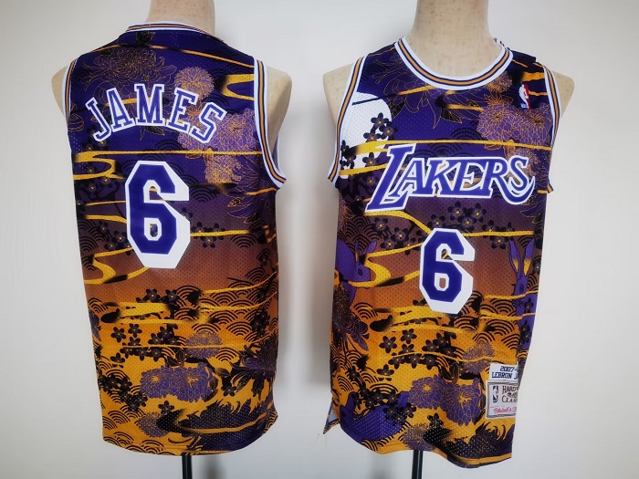 Men's Purple Los Angeles Lakers #6 LeBron James Throwback Basketball Jersey